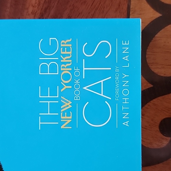 Book - Picture 2 of 8